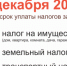 Срок уплаты транспортного, земельного налогов и налога на имущество физических лиц за 2020 год истекает 1 декабря 2021 года. - Усть-Куломский район