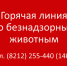 О фактах самовыгула хозяйских собак можно сообщать в Минсельхоз Коми. - Усть-Куломский район