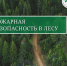 В июле, когда солнце в республике светит почти круглосуточно, леса зовут к себе!. - Усть-Куломский район