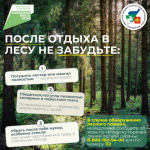 Летний пик лесных пожаров пройден,но риск возгораний в лесах Республики Коми сохраняется.