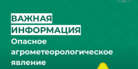 ЭКСТРЕННОЕ ПРЕДУПРЕЖДЕНИЕ ОБ ОПАСНОМ АГРОМЕТЕОРОЛОГИЧЕСКОМ ЯВЛЕНИИ!. - Усть-Куломский район