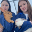 В школьной теплице села Нижний Воч теперь живут кролики!. - Усть-Куломский район